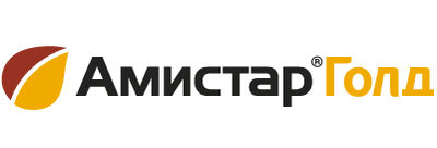 АМИСТАР ГОЛД, СК